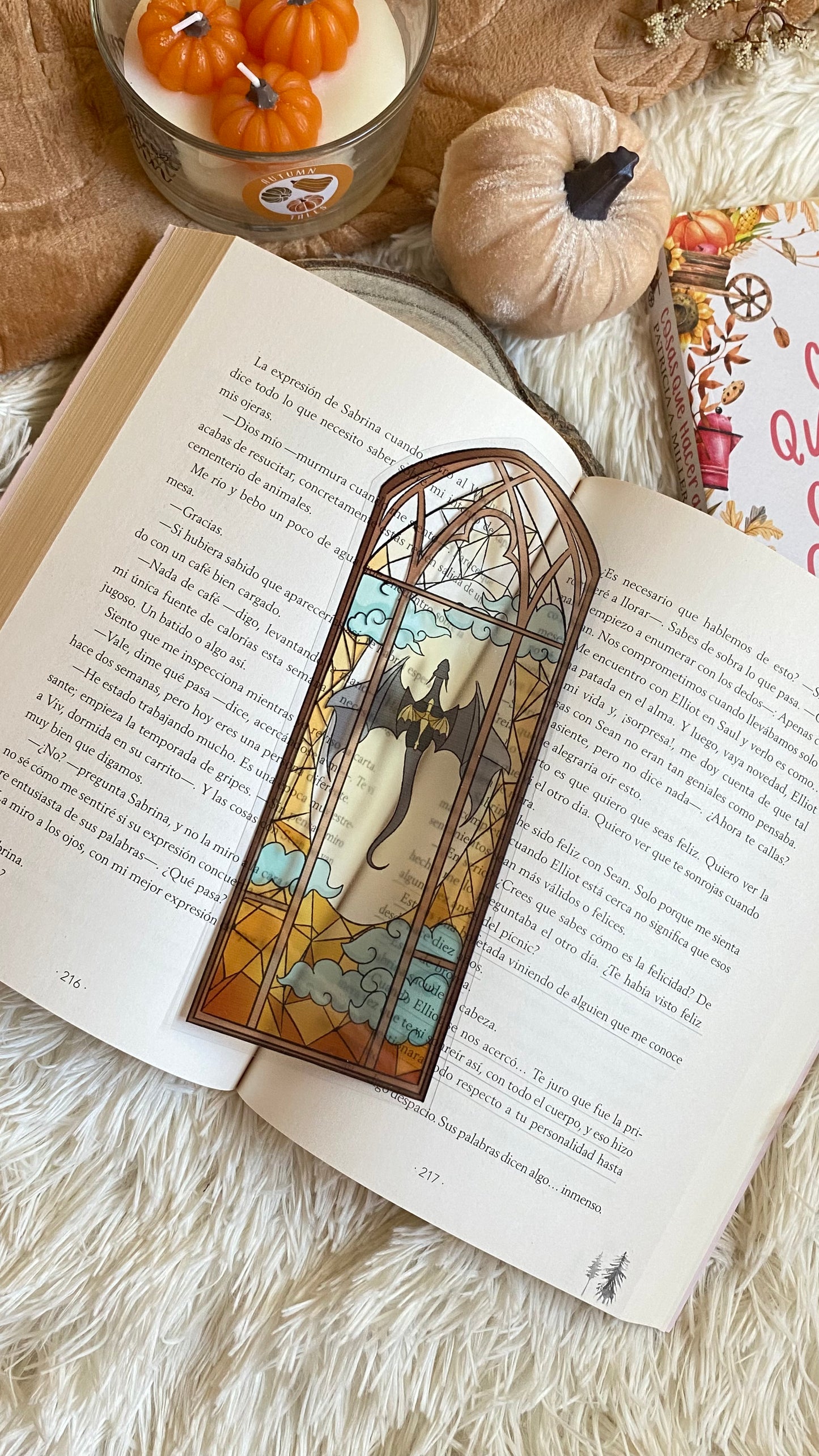Fourth Wings - Stained Bookmark